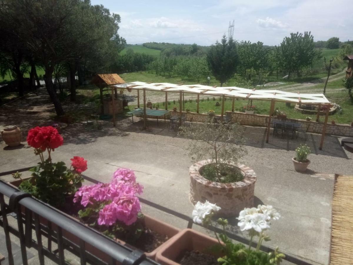 Апартаменты Agriturismo Colle Al Sole Кастильоне-дель-Лаго Экстерьер фото