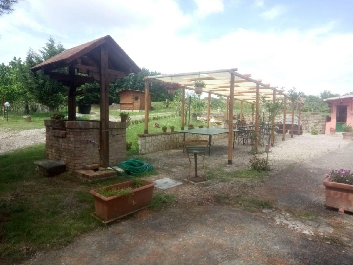 Апартаменты Agriturismo Colle Al Sole Кастильоне-дель-Лаго Экстерьер фото