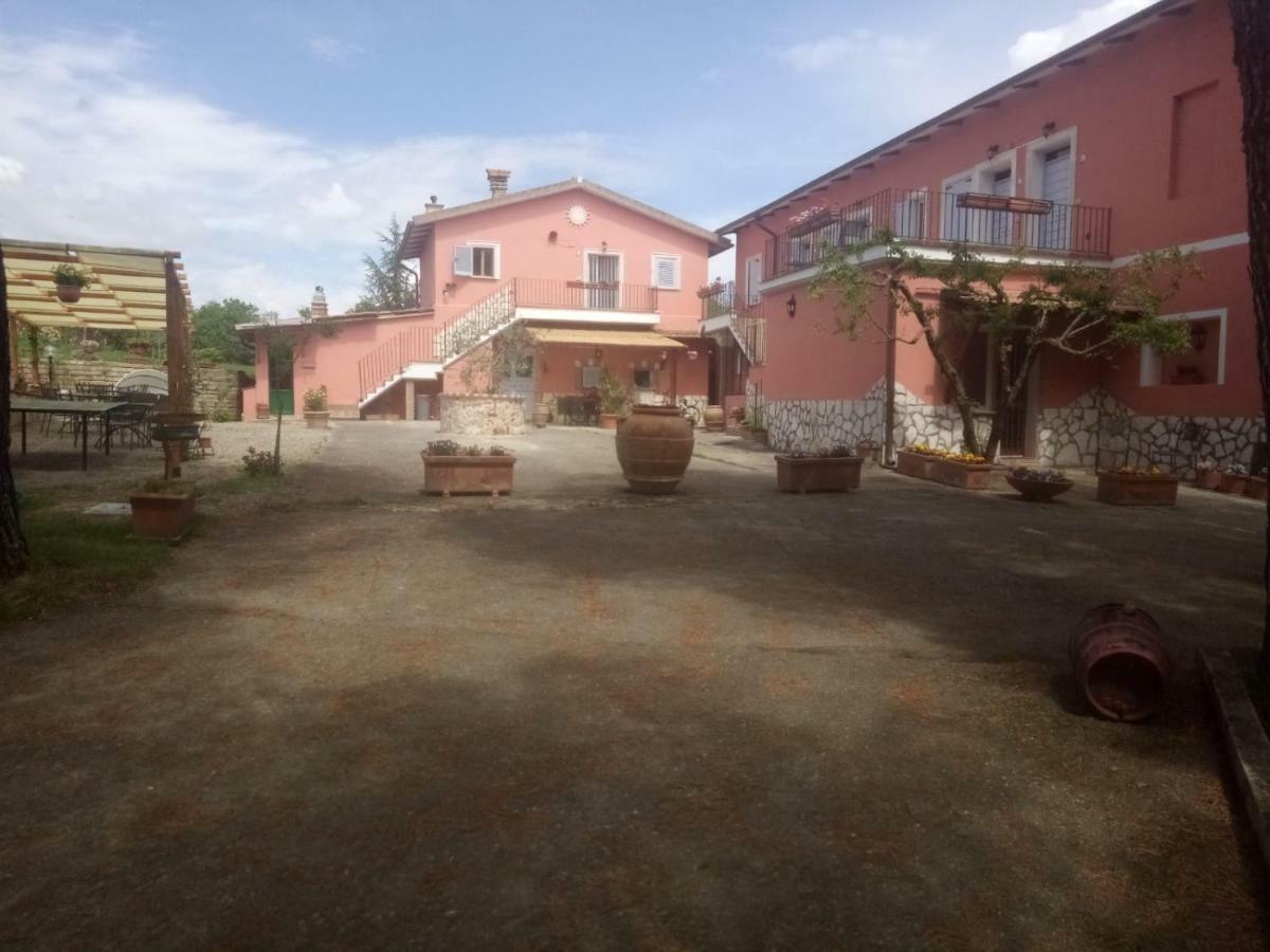 Апартаменты Agriturismo Colle Al Sole Кастильоне-дель-Лаго Экстерьер фото
